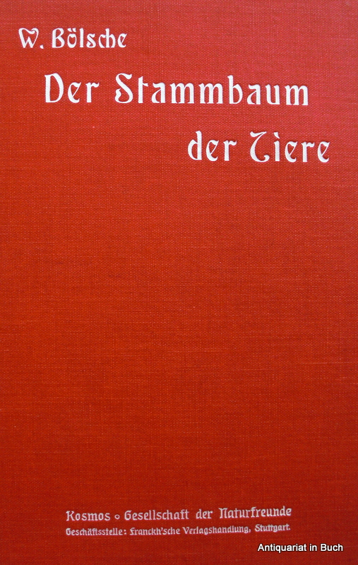 Blsche, Wilhelm.   : Der Stammbaum der Tiere : mit zahlreichen Illustrationen von Willy Planck 44. Tausend