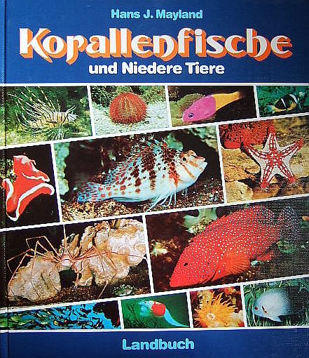 Mayland, Hans J.:  Korallenfische und Niedere Tiere. 