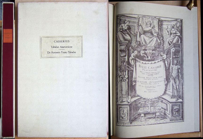 Tabulae Anatomicae.  De Formato Foetu Tabulae.