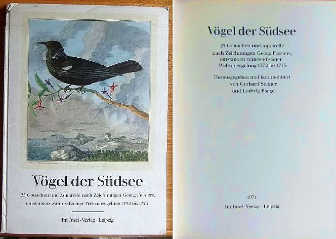 Vögel der Südsee. 23 Gouachen und Aquarelle nach Zeichnungen Georg Forsters, entstanden während seiner Weltumsegelung 1772 bis 1775.