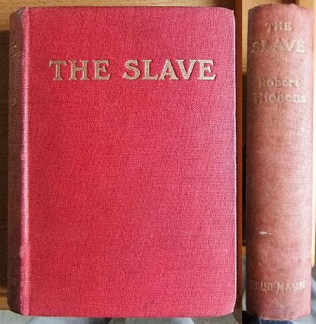 The slave : a romance