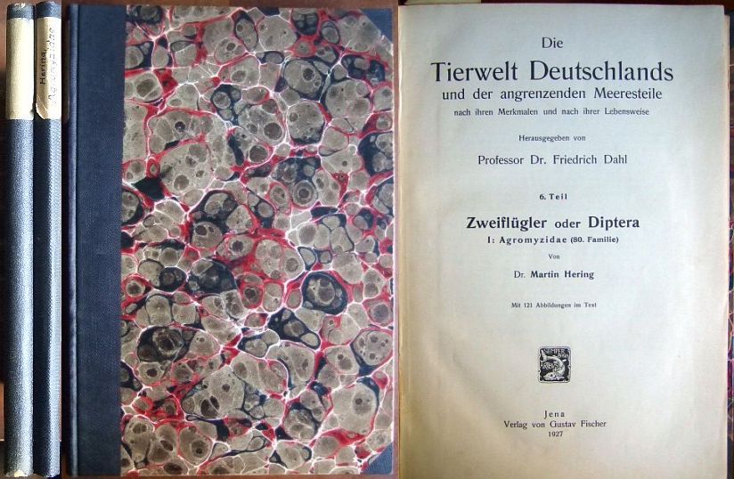 Dahl, Friedrich (Hg.):  Zweiflgler oder Diptera: I: Agromyzidae (80. Familie) 