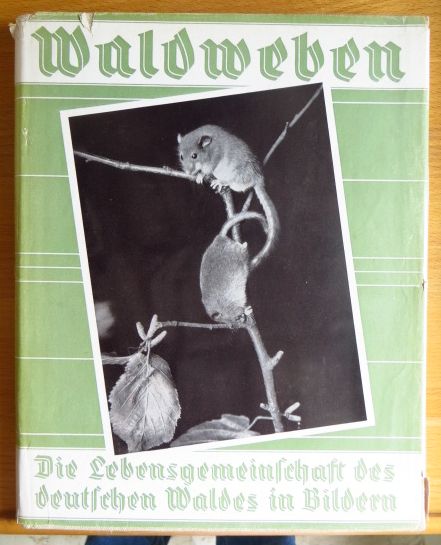 Gerhard, Karl und Gustav Wolff:  Waldweben : Die Lebensgemeinschaft d. dt. Waldes in Bildern ; 150 eigene Naturaufn. aus d. Tier- u. Pflanzenleben d. heimatl. Waldes. 