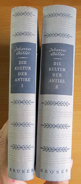 Buehler, Johannes:  Die Kultur der Antike und die Grundlegung der abendlndischen Kultur. 