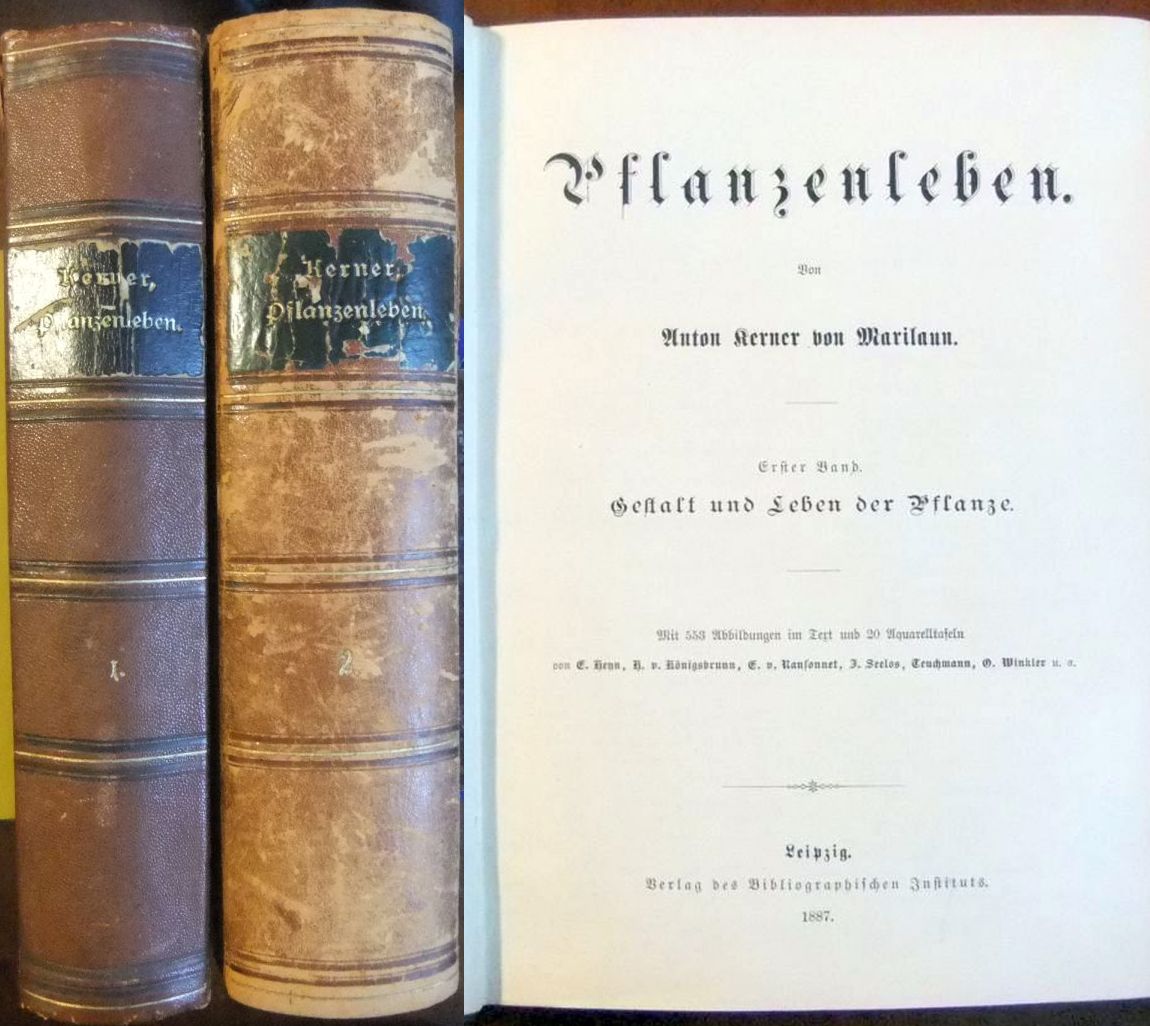 Kerner von Marilaun, Anton:  Pflanzenleben. 2 Bde. 