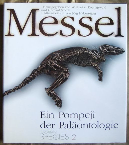 Koenigswald, Wighart von (Herausgeber) und Sven (Mitwirkender) Baszio:  Messel : ein Pompeji der Palontologie. 