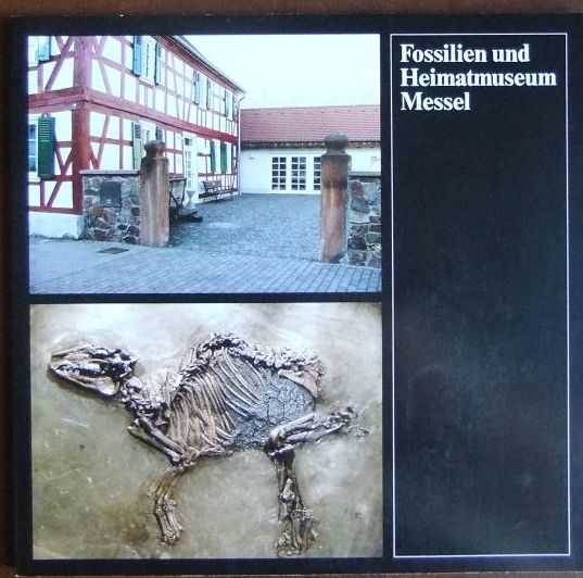 Fossilien- und Heimatmuseum Messel