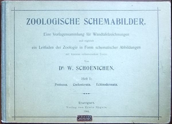 Schoenichen, W.:  Zoologische Schemabilder 