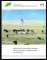Neue Entwicklungen in der Agrarwirtschaft der Great Plains. - - Werner Klohn, Hans-Wilhelm Windhorst