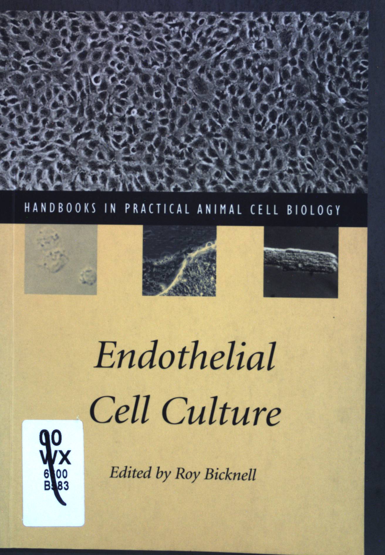 Endothelial Cell Culture (Handbooks in Practical Animal Cell Biology) - Bicknell, Roy