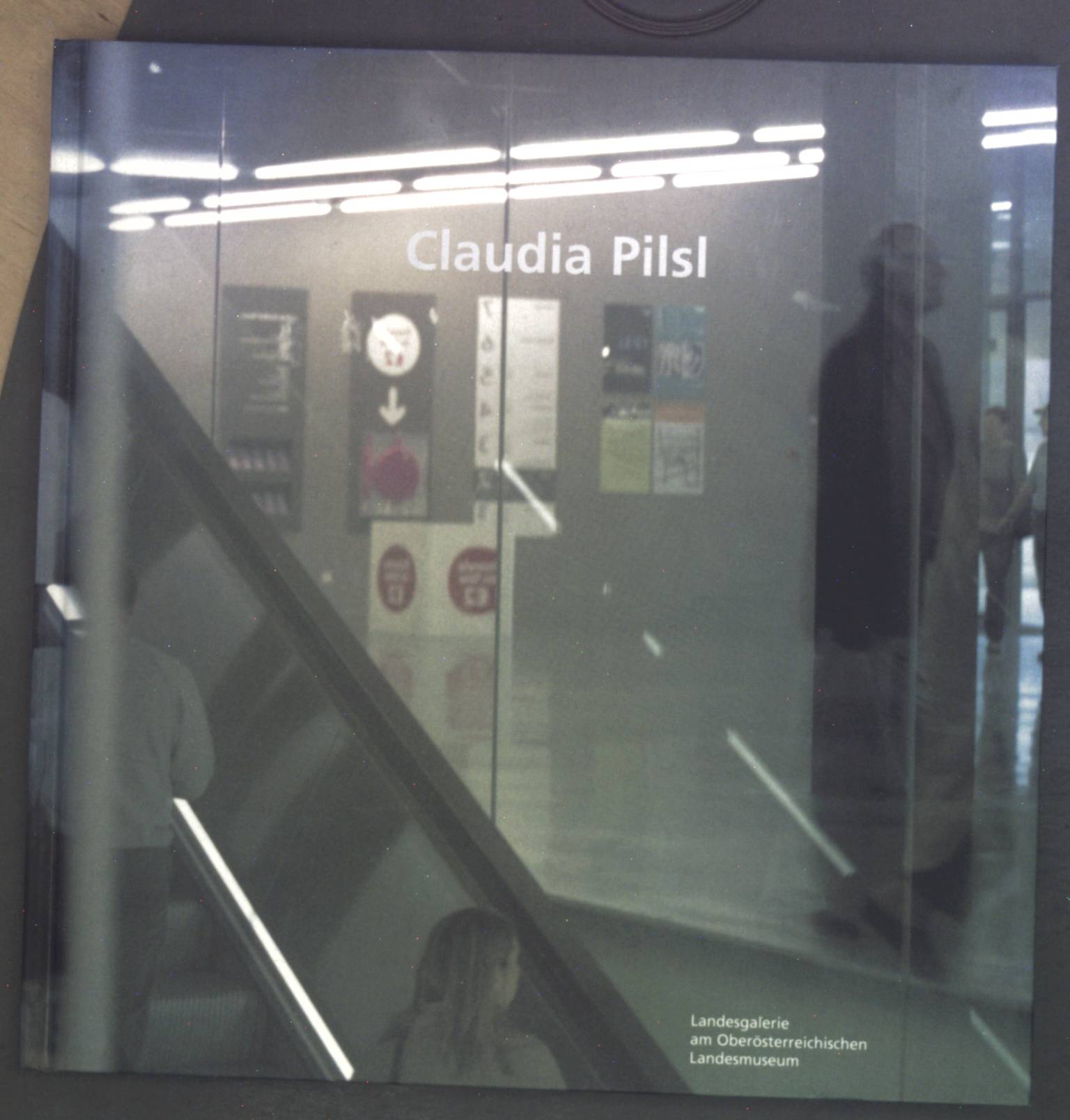 Claudia Pilsl Oberösterreichische Landesmuseen: Kataloge der Oberösterreichischen Landesmuseen ; N.S., 3 - Pilsl, Claudia and Ishbel Flett