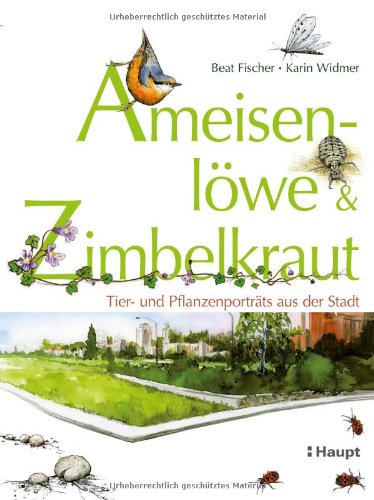 Ameisenlöwe & Zimbelkraut : Tier- und Pflanzenporträts aus der Stadt. ; Karin Widmer 1. Aufl. - Fischer, Beat und Karin Widmer