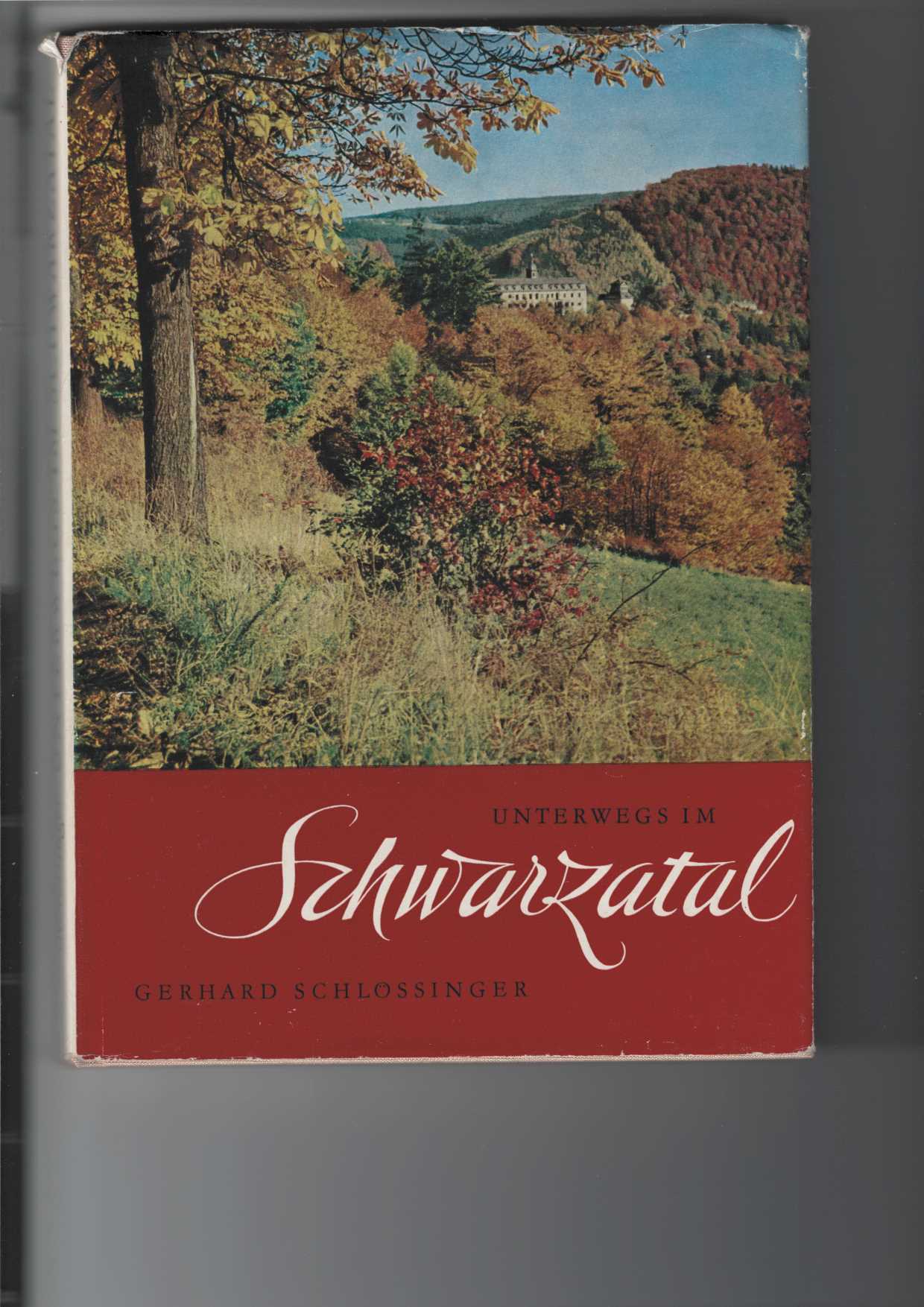 Schlssinger, Gerhard:  Unterwegs im Schwarzatal. 