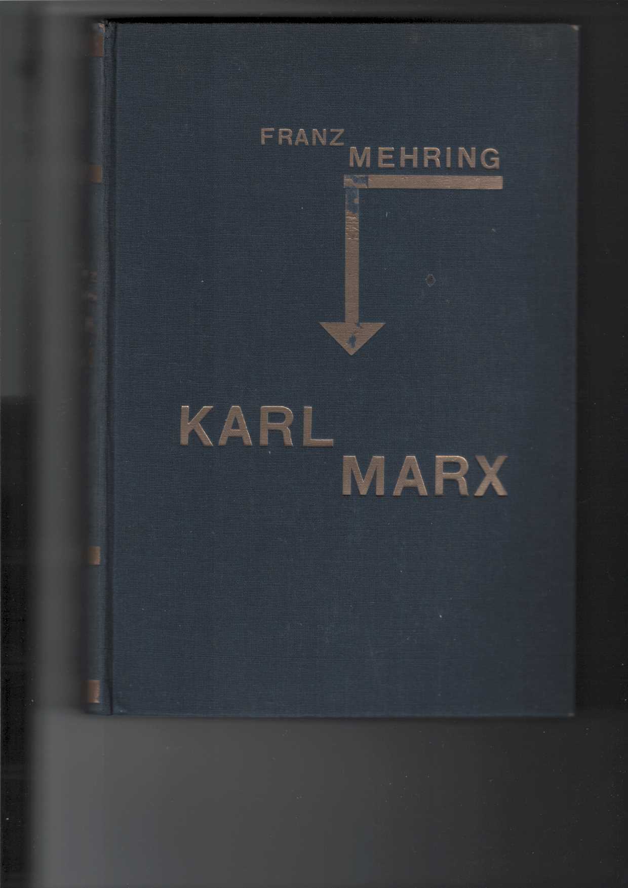 Mehring, Franz:  Karl Marx: Geschichte seines Lebens. 