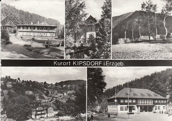   AK Kurort Kipsdorf i. Erzgeb. 