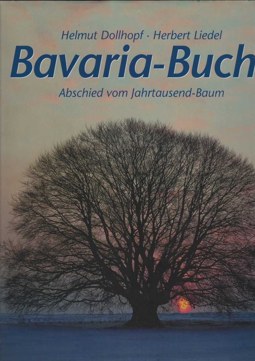 Bavaria-Buche.