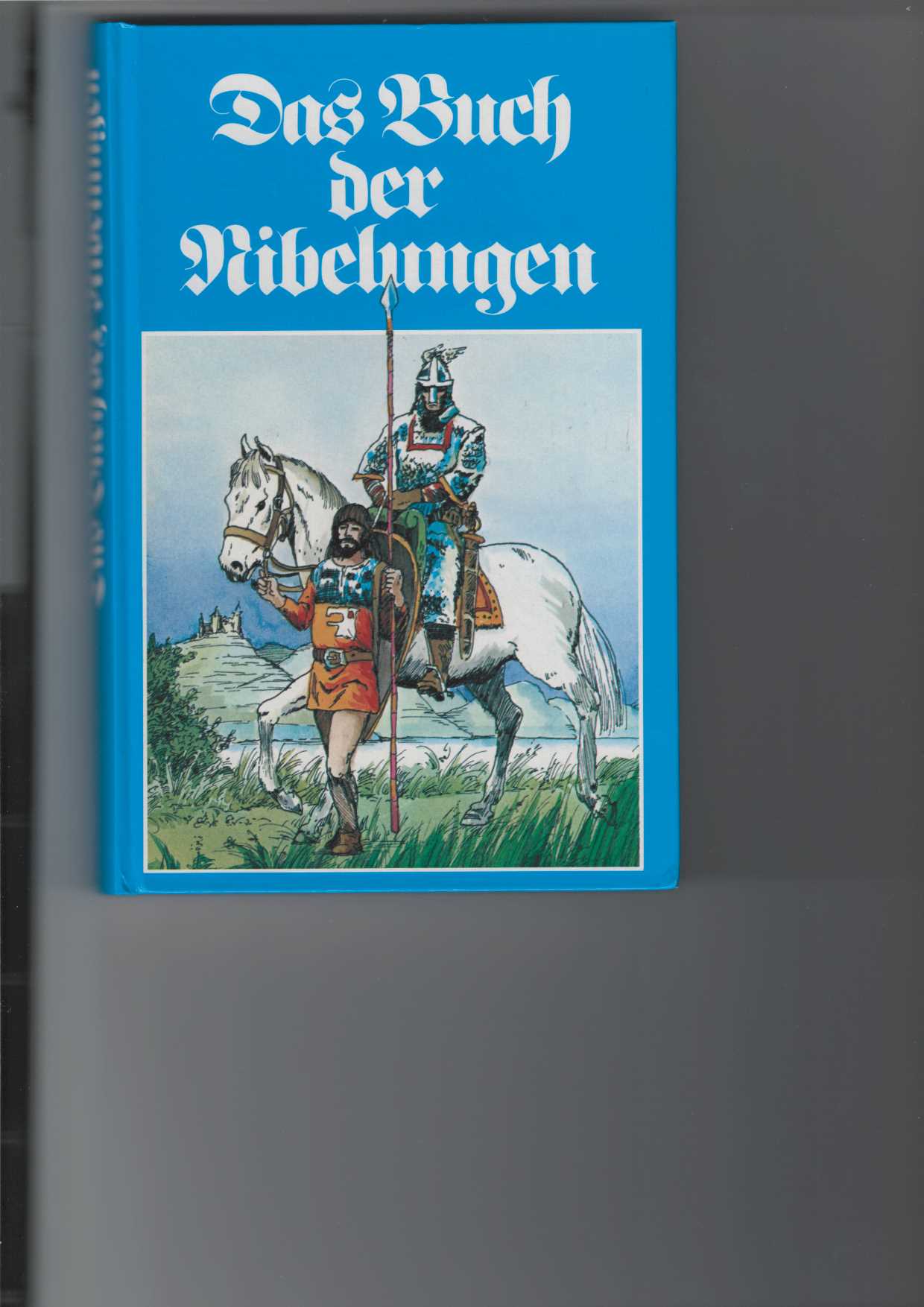 Das Buch der Nibelungen.