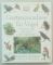 Gartenparadiese für Vögel: Praktische Tipps für Gärtner und Vogelfreunde. - Robert Burton