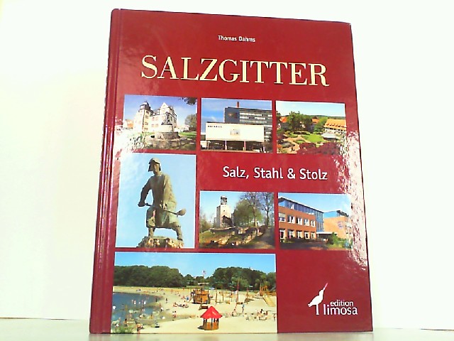 Salzgitter - Salz, Stahl und Stolz. - Dahms, Thomas