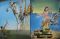 Salvador Dalí 1904 - 1989. Das malerische Werk. Band 1: 1904 - 1946. Band 2: 1946 - 1989. 2 Bände. - Robert Descharnes, Gilles Néret
