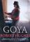 Goya  New - Robert Hughes