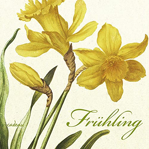 Frühling: Ein Poesiealbum - zusammengestellt von Günter Berg Frühling 1. Aufl. - Berg, Günter
