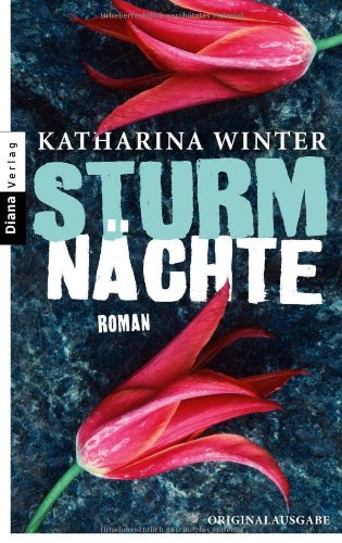 Sturmnächte : Roman. Katharina Winter Orig.-Ausg. - Winter, Katharina (Verfasser)
