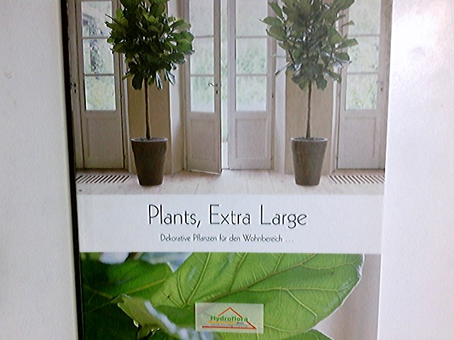 Plants, extra large = Dekorative Pflanzen für den Wohnbereich. [von: Joop Hüner - Sander Kroll. Fotos: Dolf Straatemeier] - Hüner, Joop (Mitwirkender) und Dolf (Mitwirkender) Straatemeier