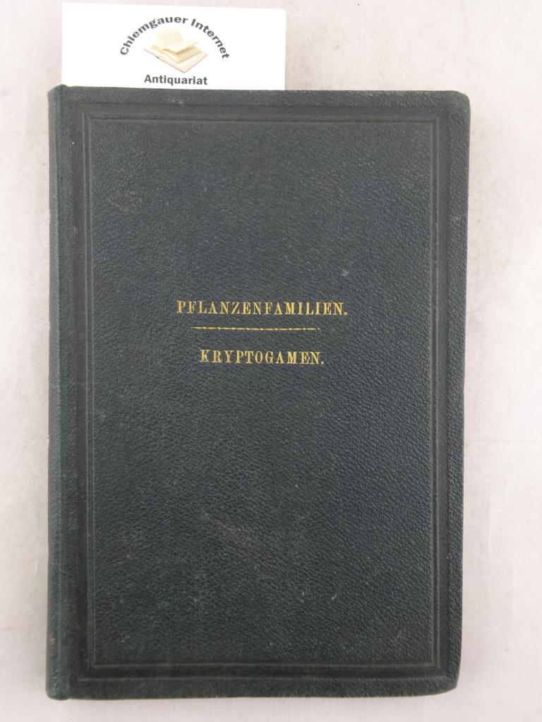 Zippel, Hermann und Carl Bollmann:  Reprsentanten einheimischer Pflanzenfamilien in farbigen Wandtafeln mit erluterndem Text, im Anschluss an die 