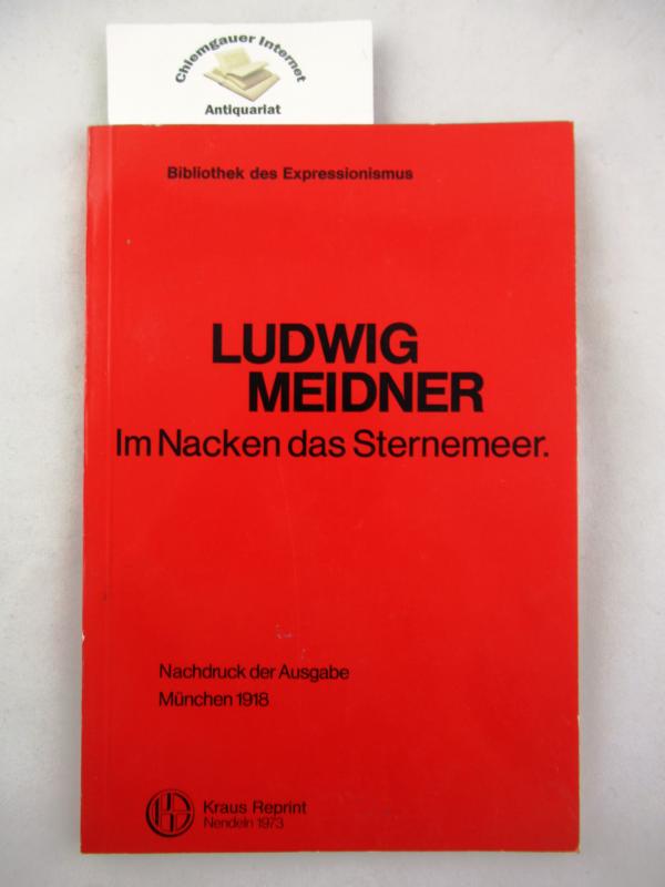 Meidner, Ludwig:  Im Nacken das Sternemeer. 