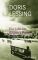 Ein Jahr im Regent's Park Werkauswahl Band 14 - Doris Lessing
