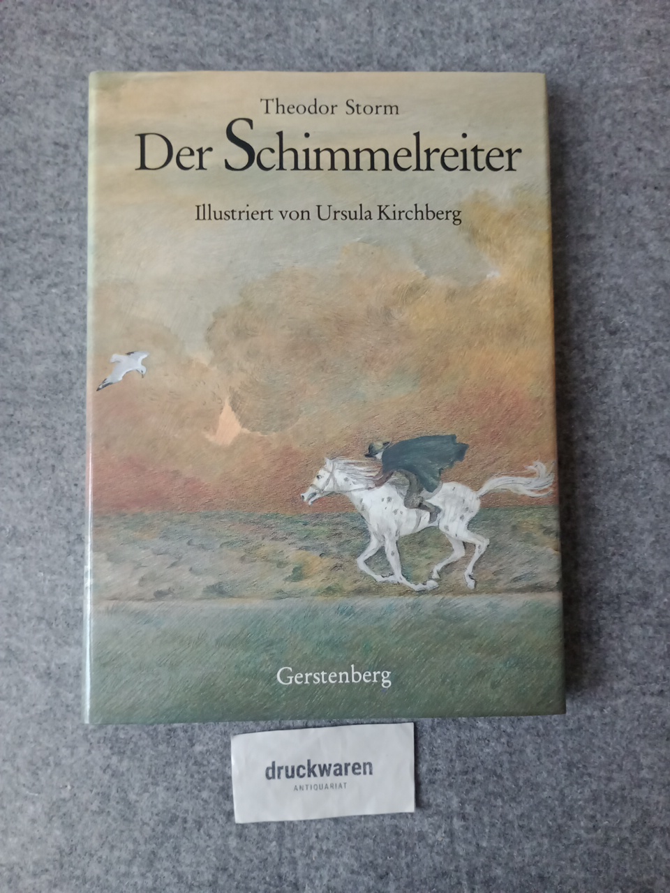 Der Schimmelreiter. - Storm, Theodor und Ursula Kirchberg (Illustration)