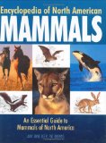Encyclopedia of North American Mammals: An Essential Guide to Mammals of North America - Beer, Amy-Jane and Pat Morris