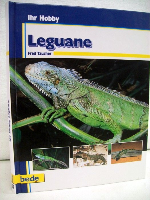 Leguane.