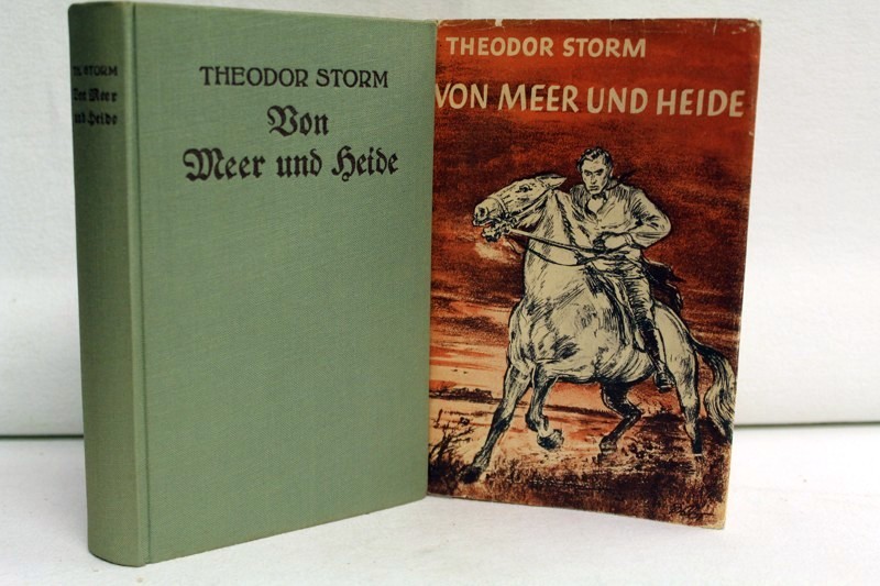 Storm, Theodor:  Von Meer und Heide. Die zehn schnsten Novellen. 