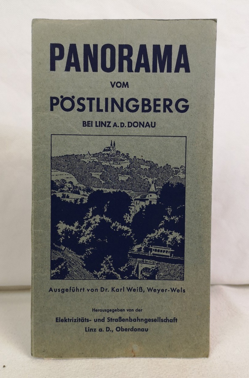 Weiss, Karl:  Panorama vom Pstlingberg bei Linz a. d. Donau. 