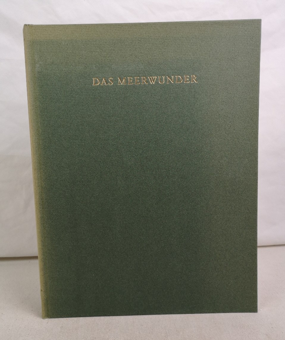Hauptmann, Gerhart:  Das Meerwunder. Eine unwahrscheinliche Geschichte. Mit vier lavierten Federzeichnungen von Paul Delvaux. 