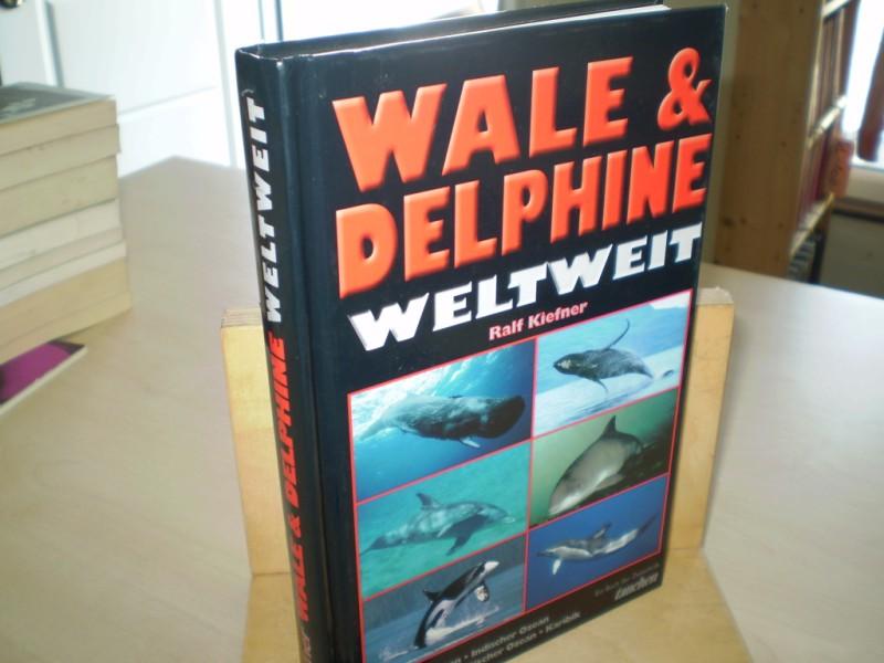 Wale & Delphine weltweit. Pazifischer Ozean, Indischer Ozean, Rotes Meer, Atlantischer Ozean, Karibik, Arktis, Antarktis.