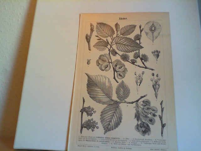  Rster. 1 Lithographierte, s/w, einseitige Graphiken. Aus Meyers Konversationslexikon 1897. 5. Auflage