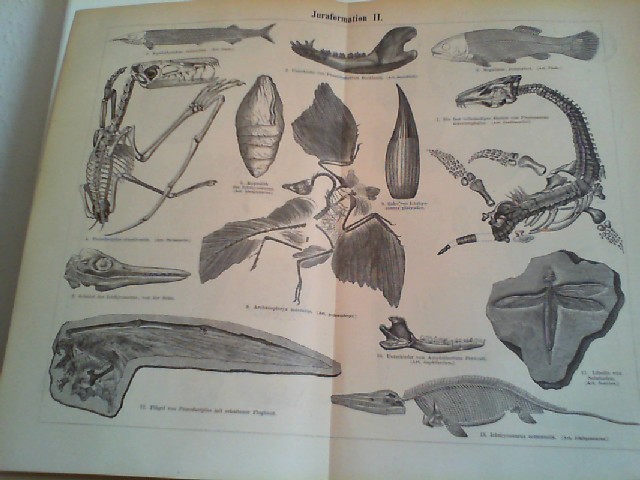  Juraformatio II.  1 Lithographierte, s/w, zweiseitige Graphik. Aus Meyers Konversationslexikon 1897. 5. Auflage