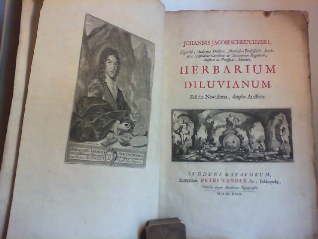 Scheuchzeri, Johannis Jacobi und = SCHEUCHZER, J.J.: Herbarium Diluvianum.