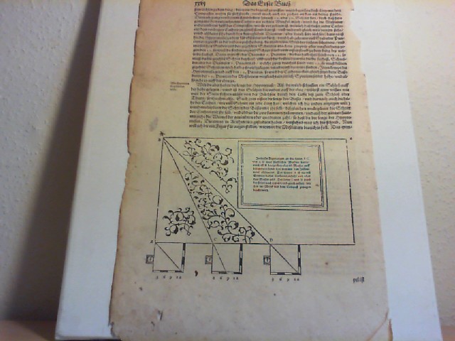 MNSTER, SEBASTIAN: Cosmographia. Das Erste Buch. Holzschnitt 