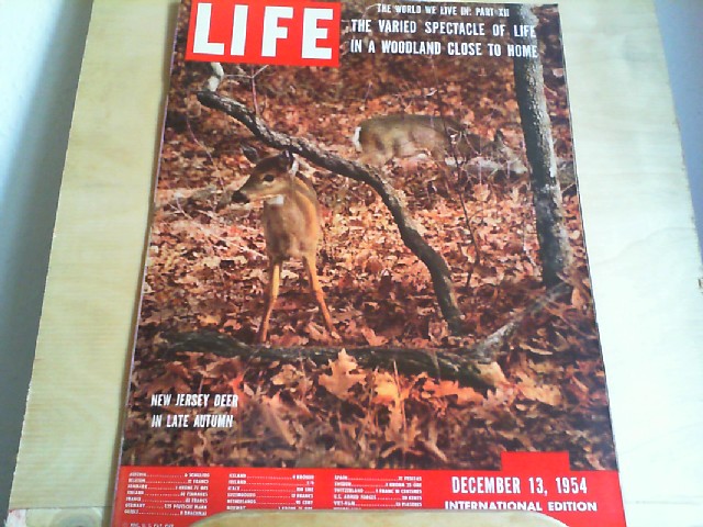  LIFE. International Edition. December 13, 1954. Titlepicture: New Jersey deer in late autumn. Titlestory: The world we live in: Part XII; The varied spectacle of life in a woodland close to home.