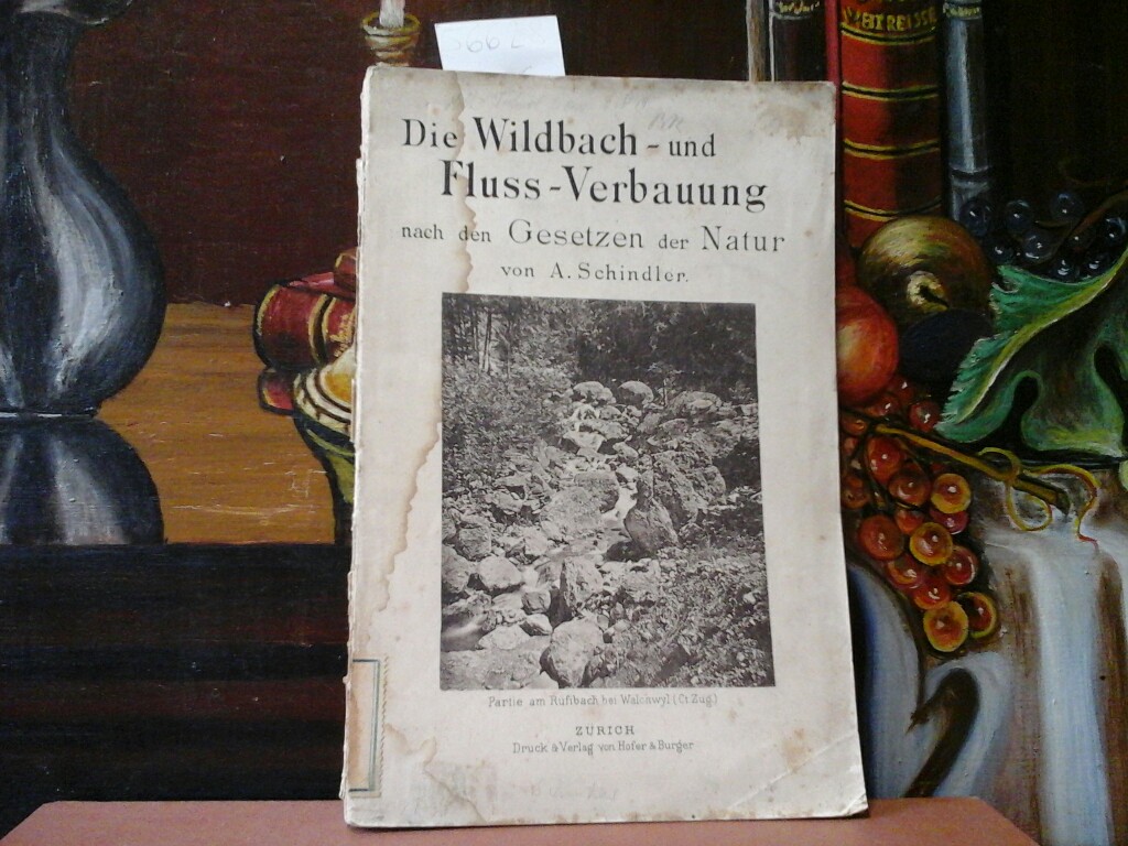 SCHINDLER, A.: Die Wildbach- und Fluss-Verbauung nach den Gesetzen der Natur.