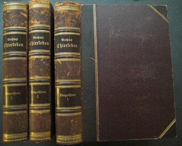 BREHM, A.E.: Brehms Thierleben. Allgemeine Kunde des Thierreichs. ABT. 1: SUGETHIERE, Bd. 1-3 (= komplett). (1.Bd.:  Affen und Halbaffen, Flatterthiere (Fledermuse), Raubthiere;  2.Bd.: Raubthiere, Kerfjger, Nager, Zahnarme, Beutel- und Gabelthiere; 3.Bd.: Hufthiere. Seesugethiere.) 2. umgearb. und vermehrte Auflage. Kolorierte Ausgabe.