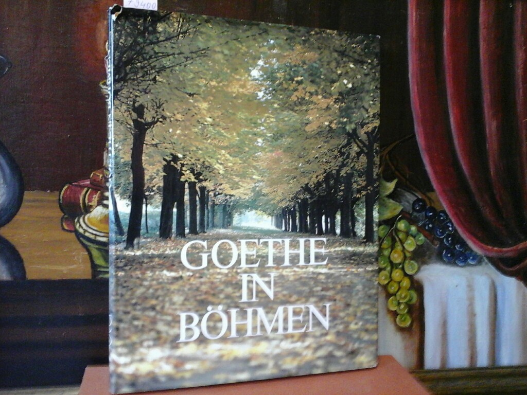 Goethe in Böhmen.