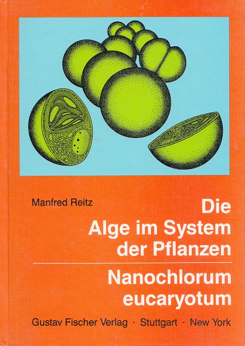 Die Alge im System der Pflanzen : Nanochlorum eucaryotum - Eine Alge mit minimalen eukaryotischen Kriterien.