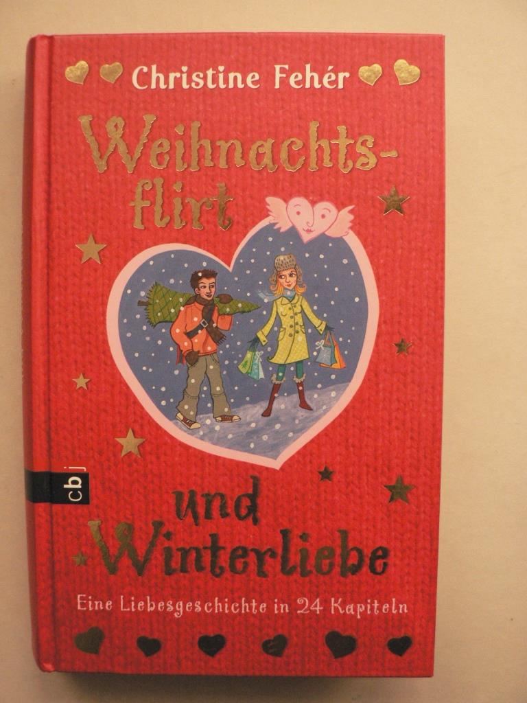 Fehr, Christine  Weihnachtsflirt und Winterliebe - Eine Liebesgeschichte in 24 Kapiteln 