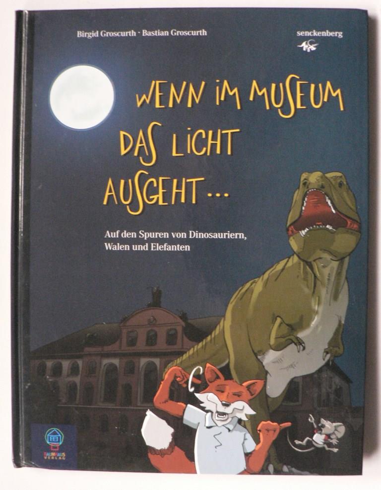 Groscurth, Birgid  Wenn im Museum das Licht ausgeht... - Auf den Spuren von Dinosauriern, Mammuts und Elefanten 