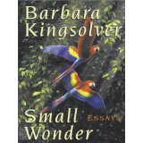 Small Wonder (Walker Large Print Books) - Barbara Kingsolver